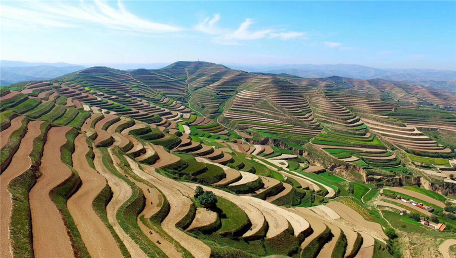 領(lǐng)先生物|國家重點(diǎn)研發(fā)計(jì)劃“黃土高原旱作適水改土與產(chǎn)能提升技術(shù)模式及應(yīng)用”項(xiàng)目啟動(dòng) 領(lǐng)先生物|國家重點(diǎn)研發(fā)計(jì)劃“黃土高原旱作適水改土與產(chǎn)能提升技術(shù)模式及應(yīng)用”項(xiàng)目啟動(dòng)